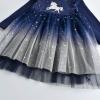 imageDXTON Girls Toddler Tutu Dresses Winter Long Sleeve Tulle for Party Casual Outfits 212TLight Black