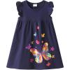 Rainbow Butterfly