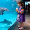 image:imageDXTON Toddler Girls Winter Long Sleeve Dress Rainbow Cotton Dresses 38YPurple Stripe Horse