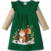 image:imageDXTON Toddler Girls Winter Long Sleeve Dress Rainbow Cotton Dresses 38YGreen Squirrel